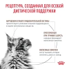 Royal Canin 2кг Gastro Intestinal Hairball Control GI32 Feline диета для кошек при нарушении пищеварения