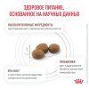 Royal Canin 2кг Gastro Intestinal Hairball Control GI32 Feline диета для кошек при нарушении пищеварения